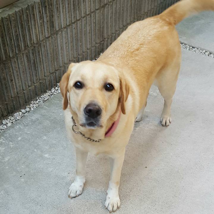 815cbb3b 455e 47ed aaca 471a72391093