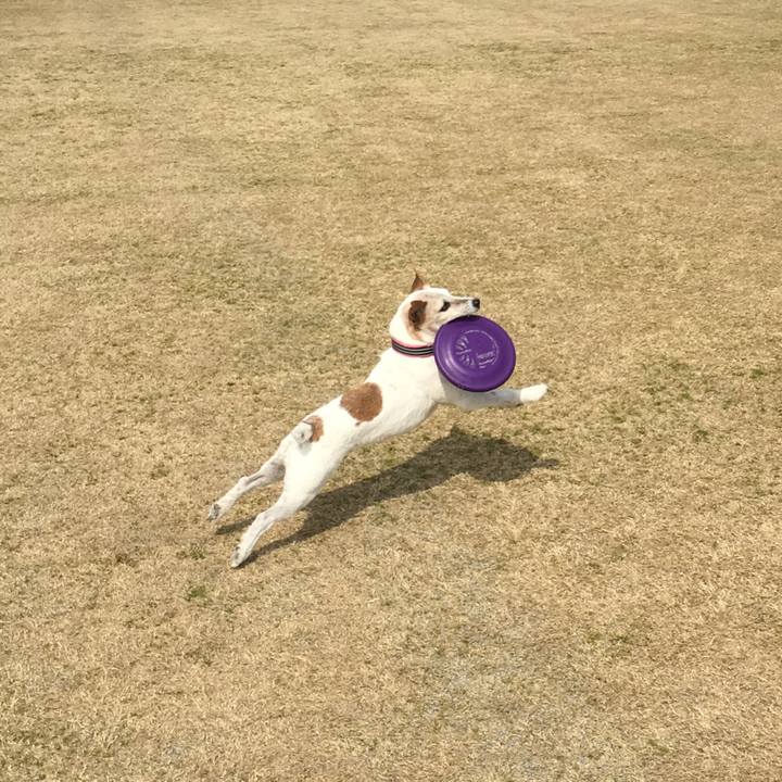 815cf60c 12b5 40a4 94c6 de0a5d695562