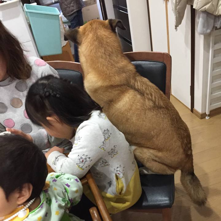 815e072b 4f21 42e3 aebb d8587c59cb66