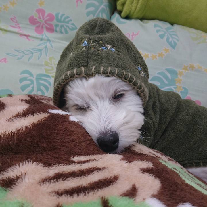 815e77d4 c17e 49d7 8cb4 f3e3a30a95b4