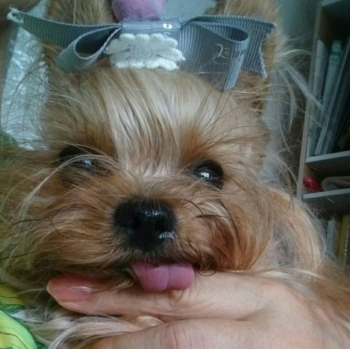 815f49d6 89cf 4e9b 81c1 879ee1c90253