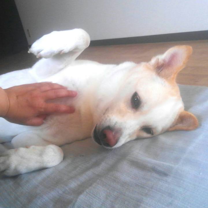 815f8463 62c4 45c4 aba0 dde15233e121