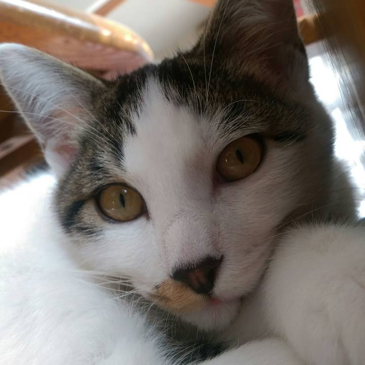 8160177e 7beb 440b 99b1 46514fed49bb