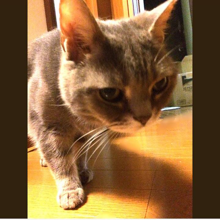 8160a4f8 3c95 4958 bd75 ccc3bb35572e