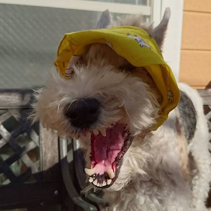 81611f74 71fb 432f 8791 cc3e2ab3cb15