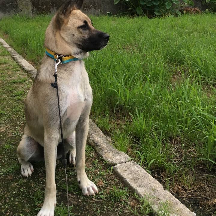 81619107 db2e 4b19 9975 025a4eccd29f