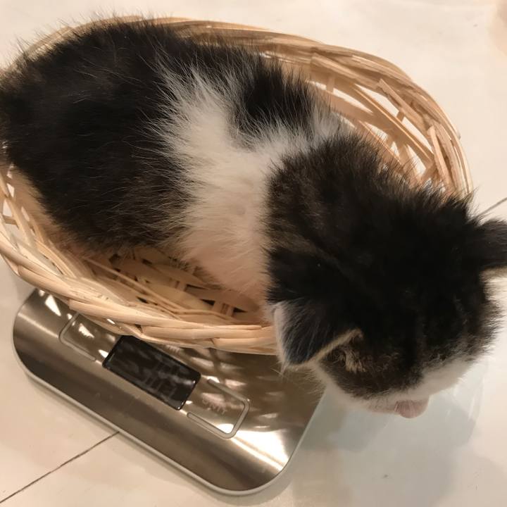 8161d5d6 2804 4502 be22 84bb1435e12b