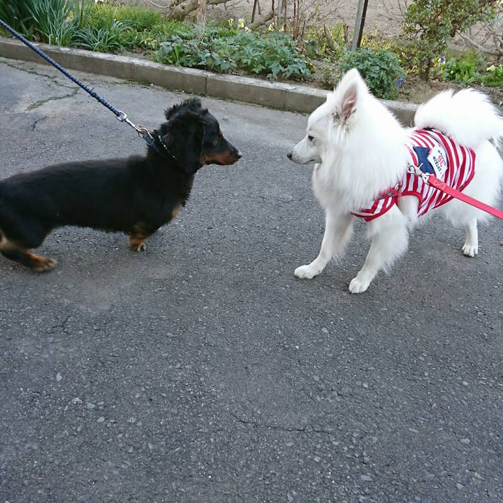 816229a5 4c65 4c7b 9edc e1b2b01a65f4