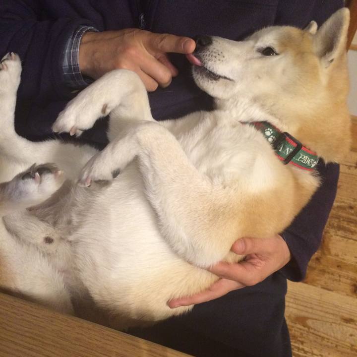 81625e54 7727 4b3b b65a 6775099d2319