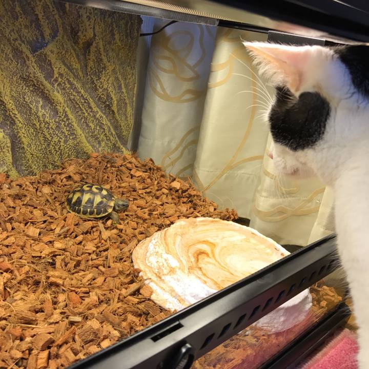 816264d7 6422 4a18 9978 c9f41edb9d33