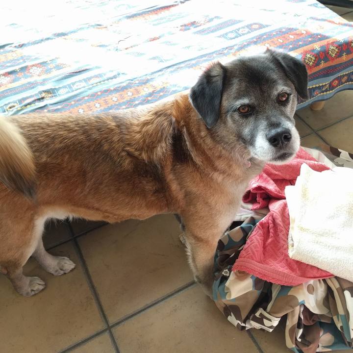 816283d5 2e2d 4b4e 8740 e6fa7e2980a9