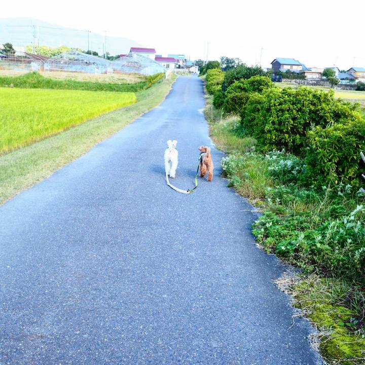 81632cc3 7fcb 4b23 8a22 9d271561b2ac