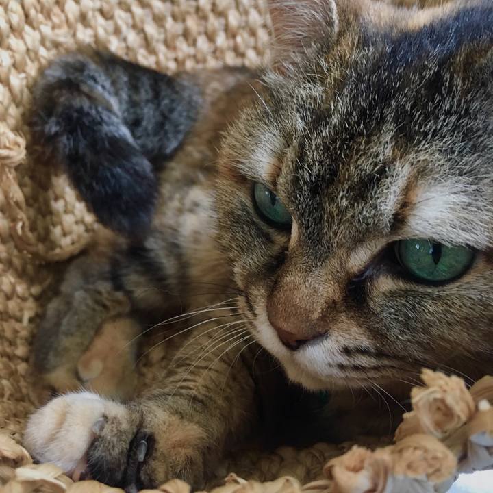 8163381c 55b6 4aee b3e8 28a1b6e22bbd