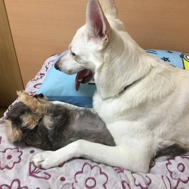 81639798 6283 48ec bf1f 9af6b62dd0f9