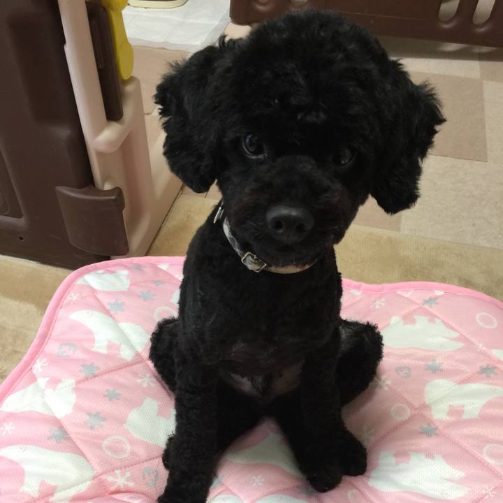 8163ab94 b562 4a2e bf7e 8ed862e47523