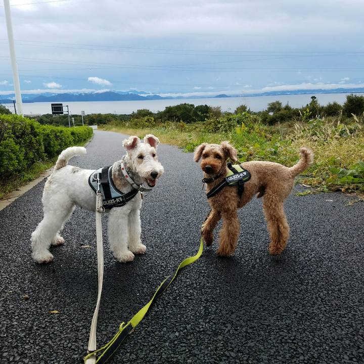 816415eb b399 4300 82eb 395a2d436e7e