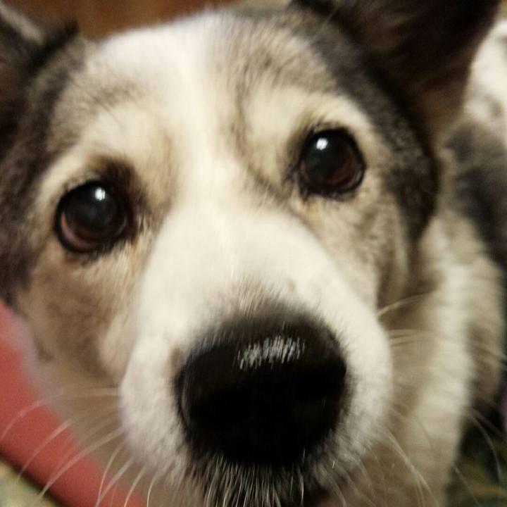 8164458e ef10 4bcd 9527 8e6d924be740