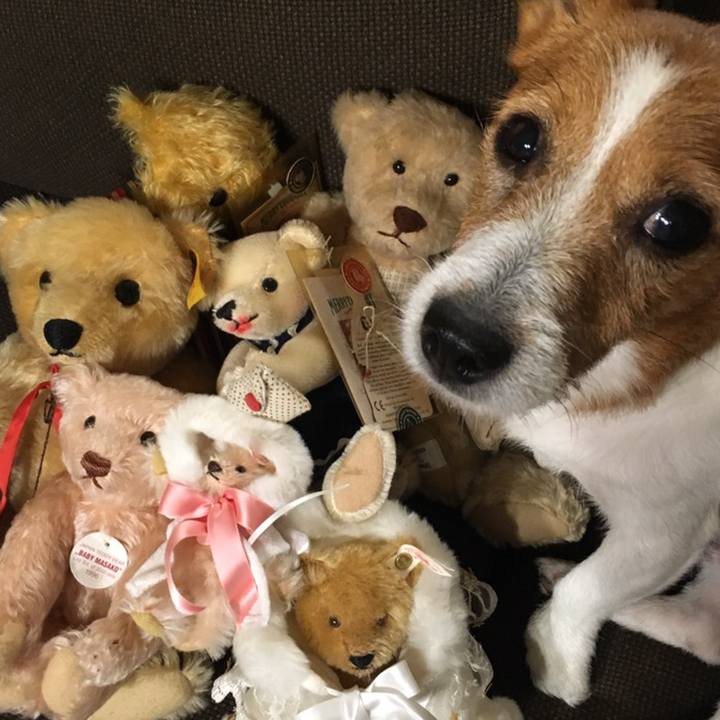 81650bc7 604d 4c3e a540 c9e5020702a0