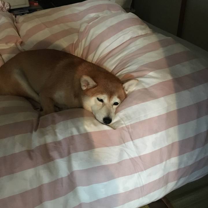 8165f99d 7b62 43d1 8c9b 839722d91088