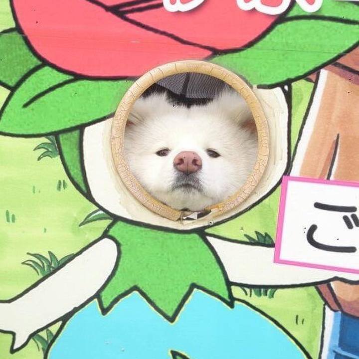 81661bac 434e 4f2c ac98 bd05c01ba6a1