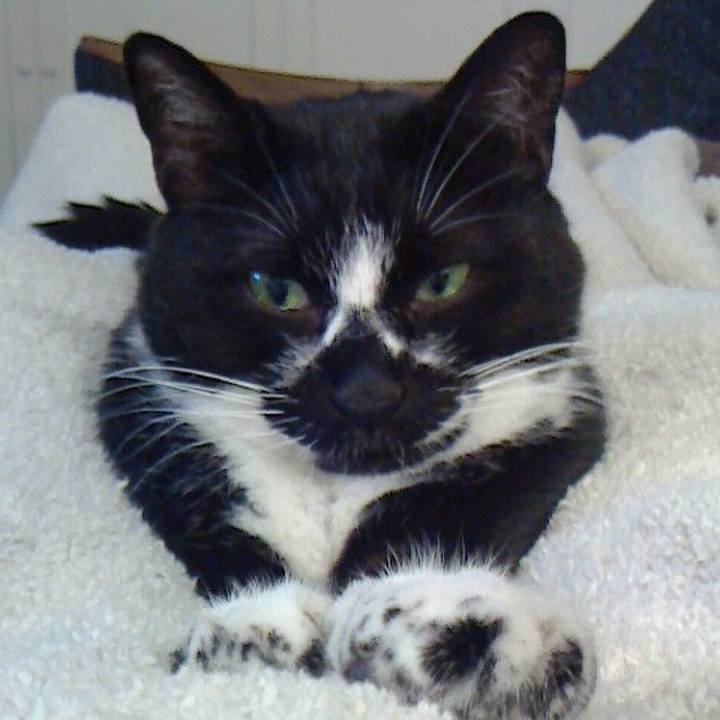 8166ec9c 9647 468b bd60 223939de87ae