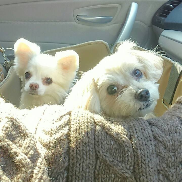 8167afe5 eae5 49f5 9f76 c327efb6656e