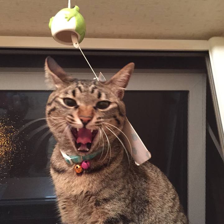 81685d70 217c 4583 9025 b525d4b65bce