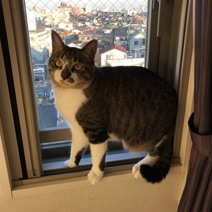 81688f31 d9c7 46d8 9790 9b980e94487d