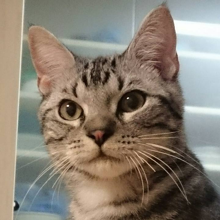 8169da36 de78 45ef 9b74 b72e6e0631dd