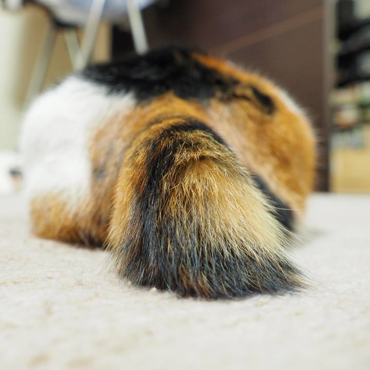 816a289e 6795 4917 a0f9 d78ce03f7fcf