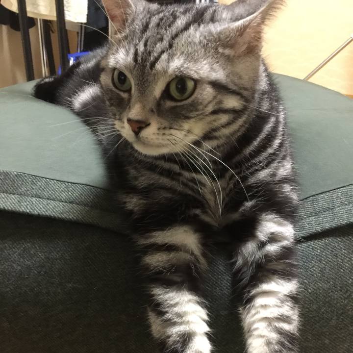 816a5f23 70e9 4268 af3d f5e5035cc0cd