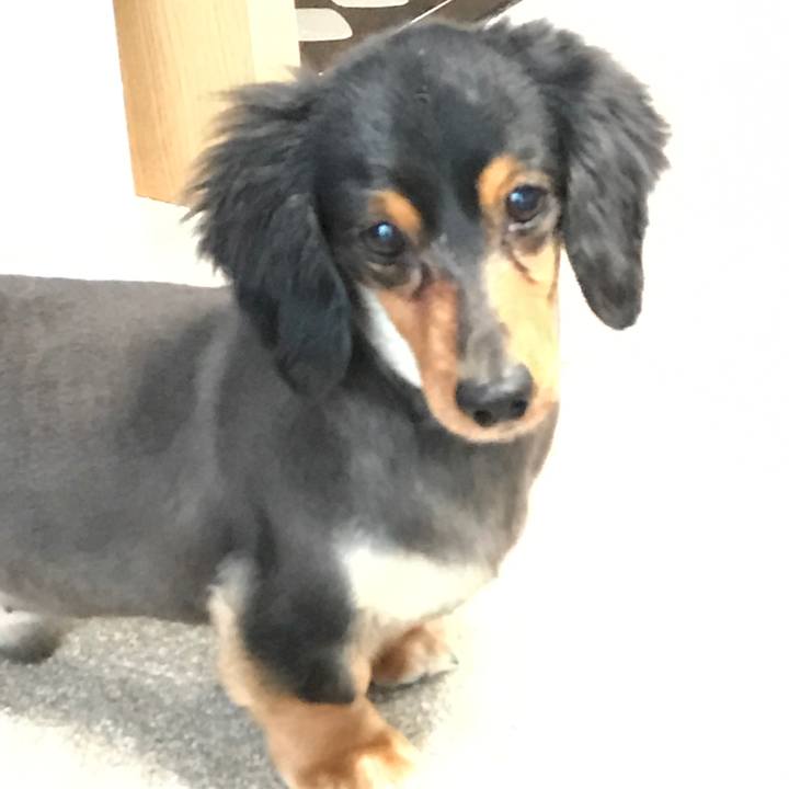 816a6b2c 1f25 47be 9daa cc24b3a17681