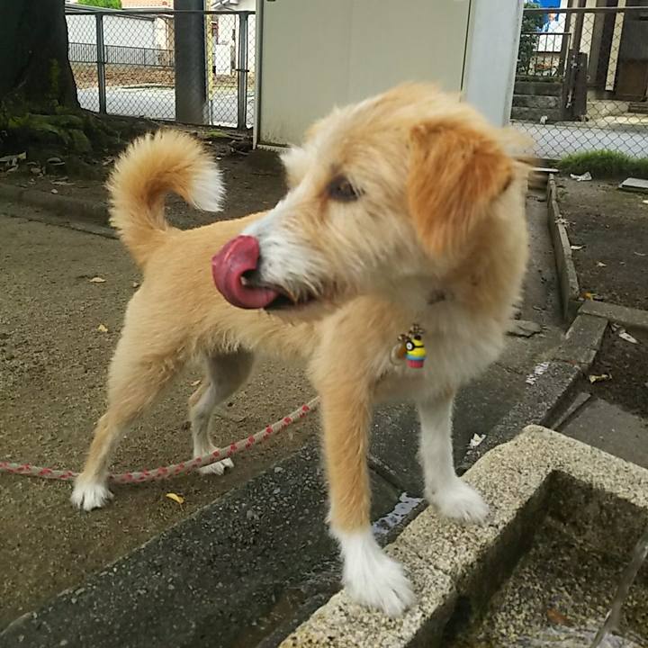 816b09ff d131 4ced 9016 a4f17a1aed0d