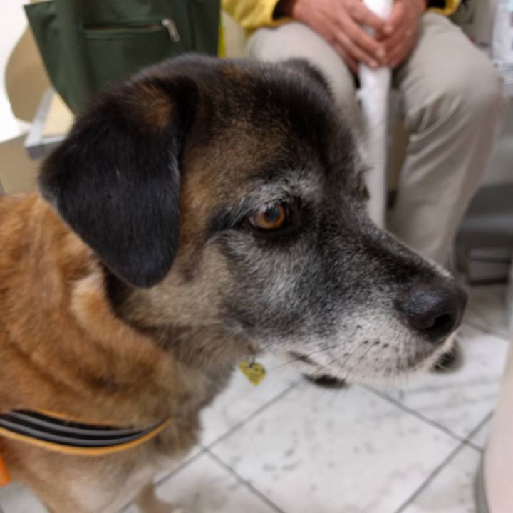 816b7e07 63b8 4e18 8e48 b85652f6a0ab