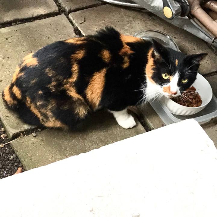 816c2747 7d67 4a62 9d52 f42f8c801e7e