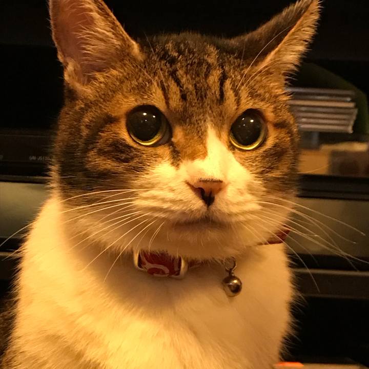 816ce94a 5488 4930 b8f7 cc3dd28f338e