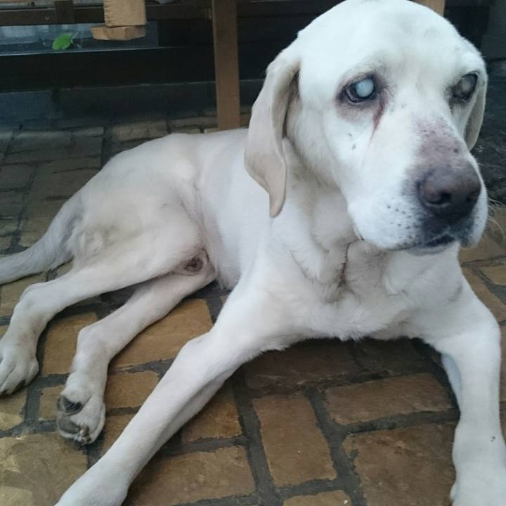 816ced74 4fcd 4ddf b4da c5256a81a5be