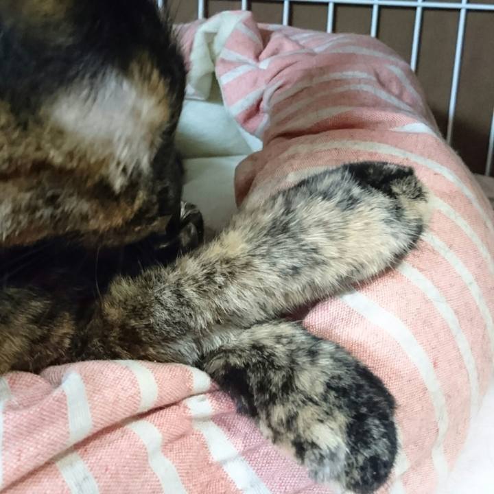 816d04c4 d81e 4eff aea6 b8eebdacc54f