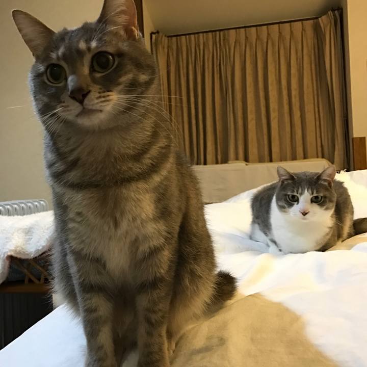 816d49ac 3e59 4323 a6e2 46ced0be7973