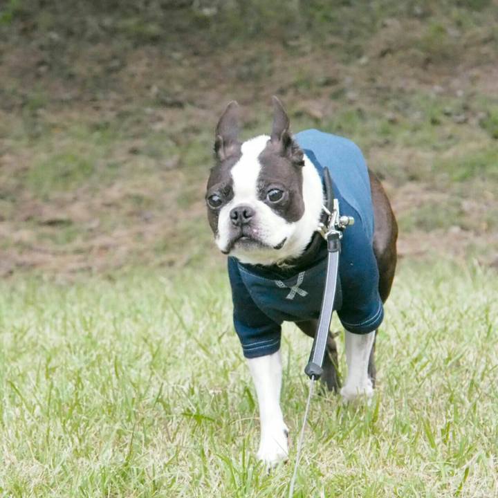 816dc50a 91c8 4856 afcb 6a2d06f39443