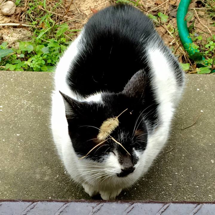 816e4859 ca42 4c06 b21a edc82043dd79