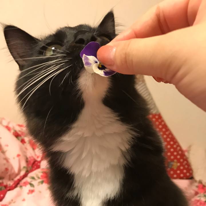 816e9f37 8d4d 4634 b6ea c92904b32de9