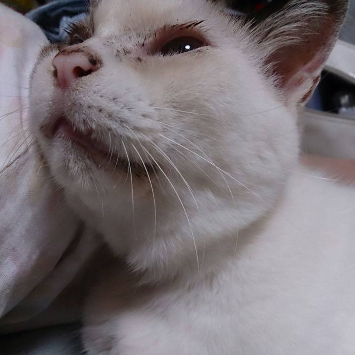 816ee780 87b8 4bb8 b6aa 4e1397fb50e8