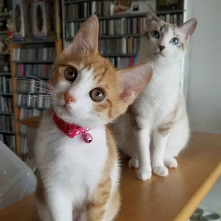 816f6b68 b2e7 42fd af7c ba2f78a8396a