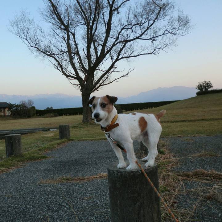 816fe25b 7a52 4609 b4b9 3c793b018dd7