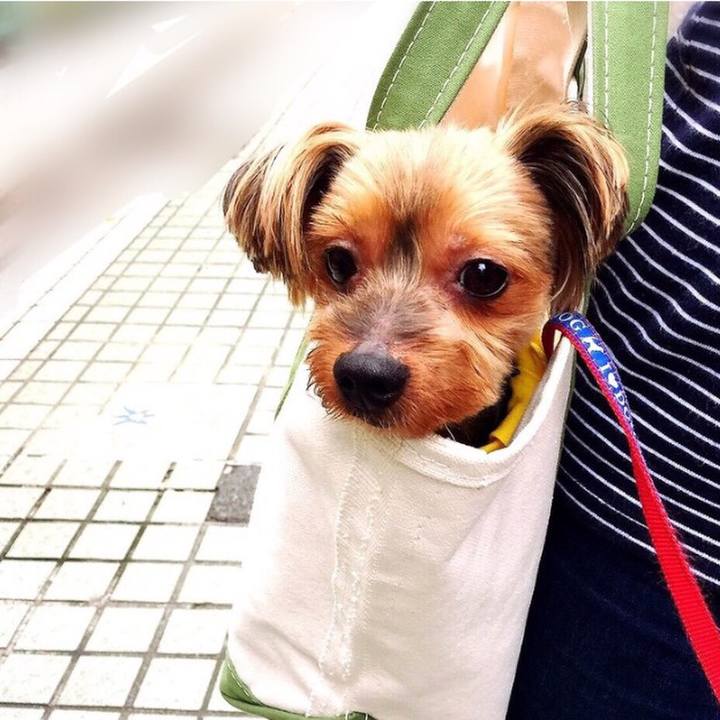 8170309b fa80 4f0f a07e ae1f10574287