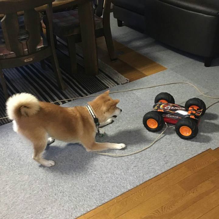 817073b9 ea7a 4fae 864c 8d9112193731