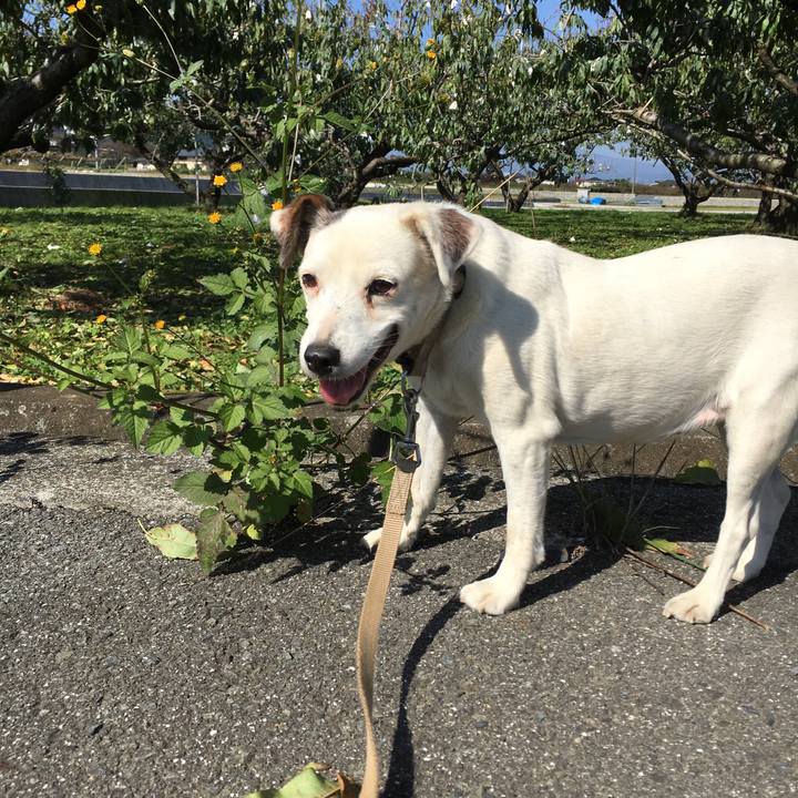 81713780 91a4 4437 a9bd 8924d2ad0fc6