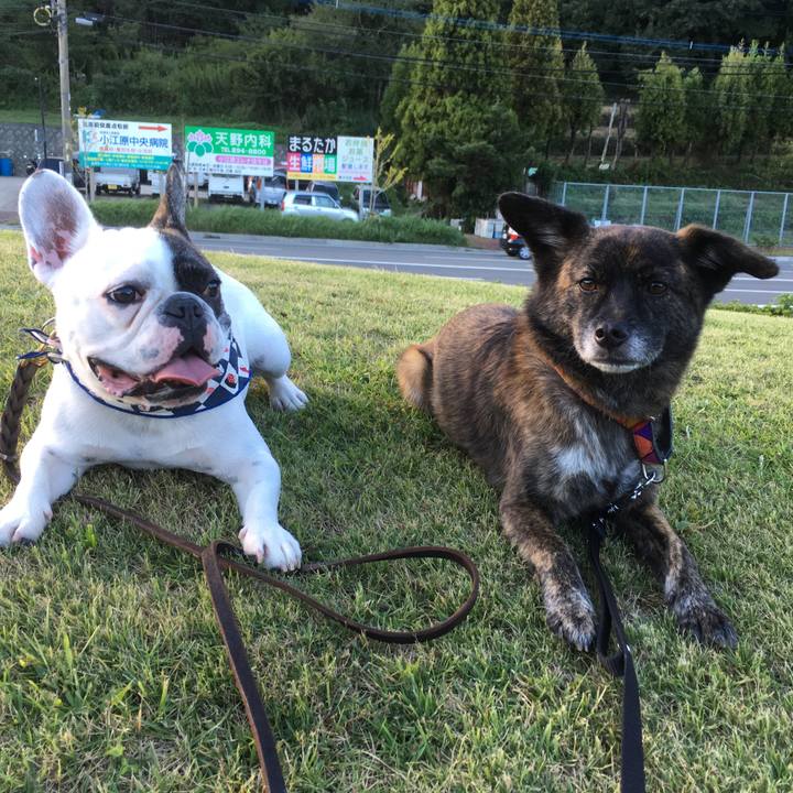 81715e54 0e81 4b8c 850f a32a5a9edb70