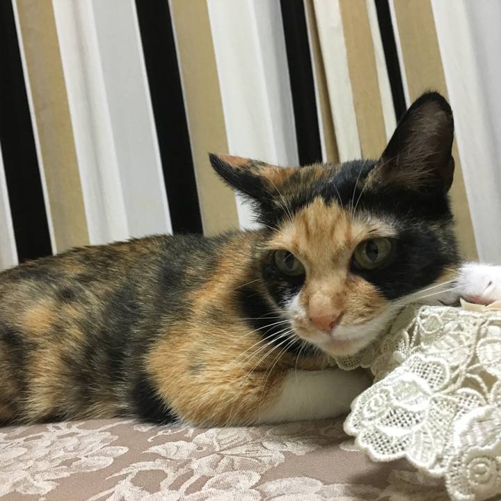 8171c369 e4e7 4174 84b2 aef74943fed2